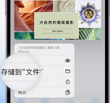 中阳apple维修中心分享iPhone文件应用中存储和找到下载文件