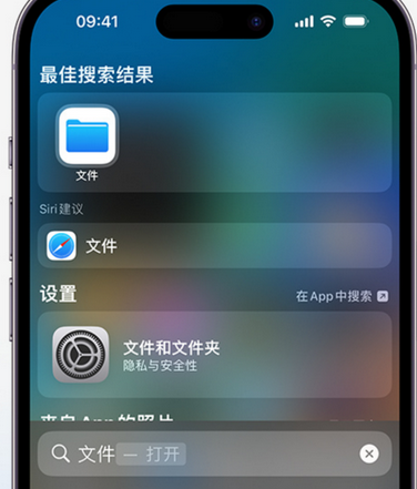 中阳apple维修中心分享iPhone文件应用中存储和找到下载文件 