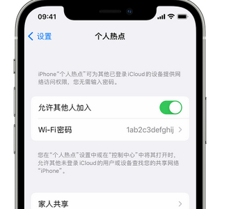 中阳apple服务站点分享iPhone上个人热点丢失了怎么办 