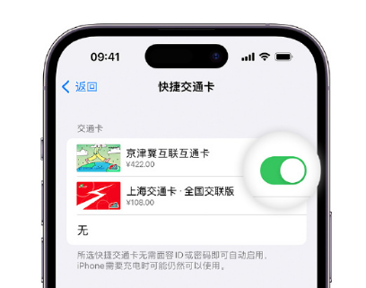 中阳apple维修点分享iPhone上更换Apple Pay快捷交通卡手绘卡面 