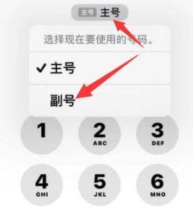 中阳苹果14维修店分享iPhone 14 Pro Max使用副卡打电话的方法 