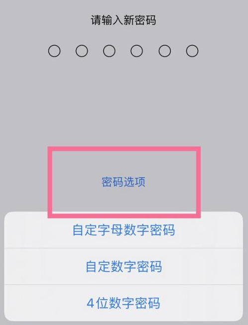 中阳苹果14维修分享iPhone 14plus设置密码的方法 